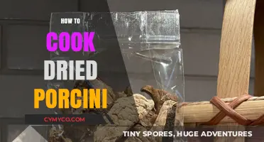 Savor the Richness: A Guide to Cooking Dried Porcini Mushrooms