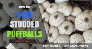 Delightful Gem-Studded Puffballs: A Culinary Adventure