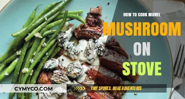 Savor the Spring: Stovetop Morel Mushroom Magic Unveiled