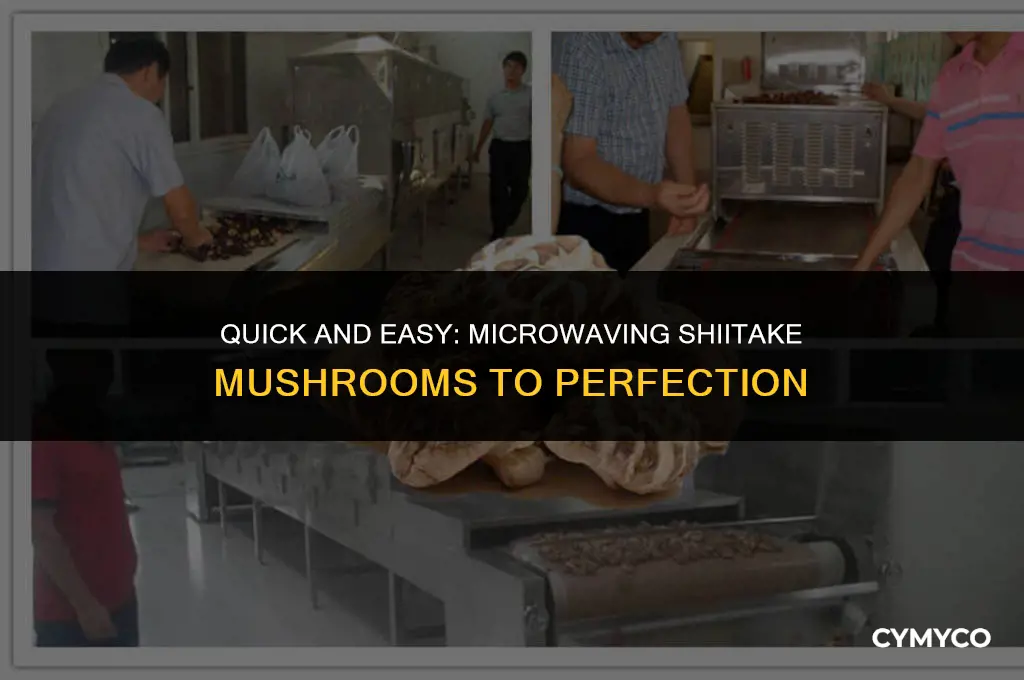how to cook shiitake mushromms in the microwave