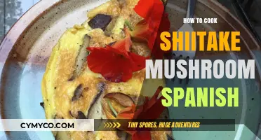 Savor the Flavor: Shiitake Mushroom Spanish Omelette Delight