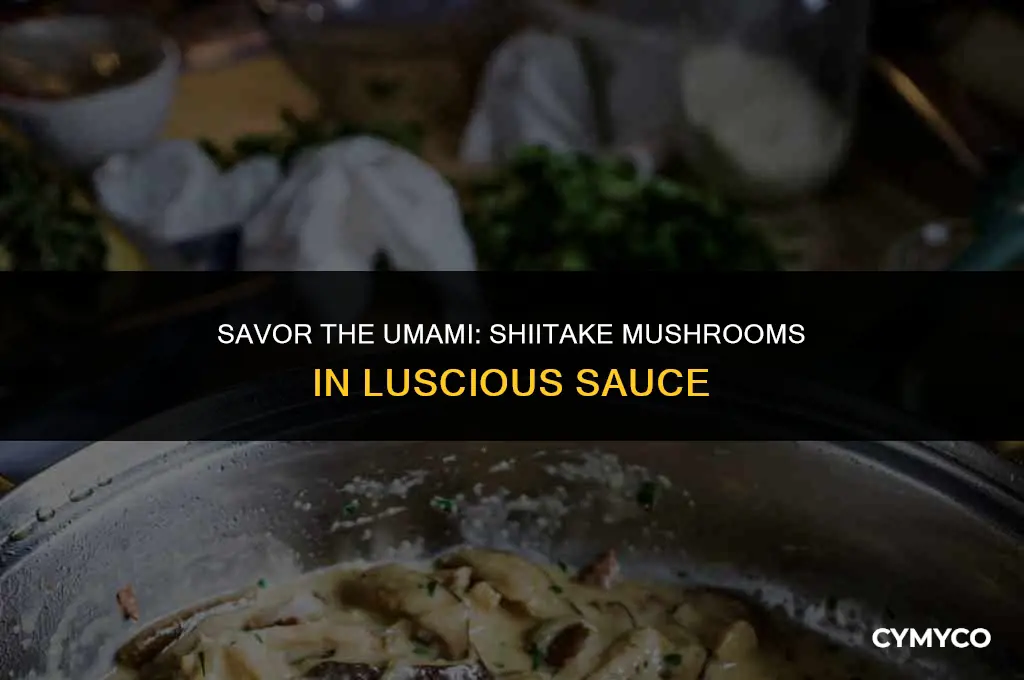 how to cook shiitake mushrooms in sauce