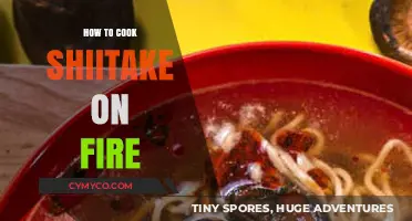 Sizzling Shiitake: A Guide to Cooking Mushrooms Over an Open Flame