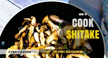 Mastering Shiitake: Easy Cooking Techniques for Delicious Umami Flavor