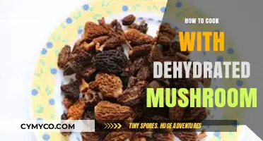 Revive Flavor: Mastering Cooking with Dehydrated Mushrooms in Your Kitchen