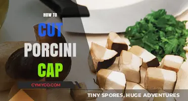 Mastering the Art of Slicing Porcini Caps for Gourmet Delights