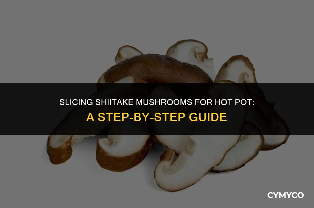 how to cut shiitake mushrooms for hot pot