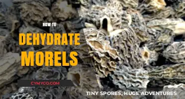 Mastering the Art of Dehydrating Morels: A Comprehensive Guide