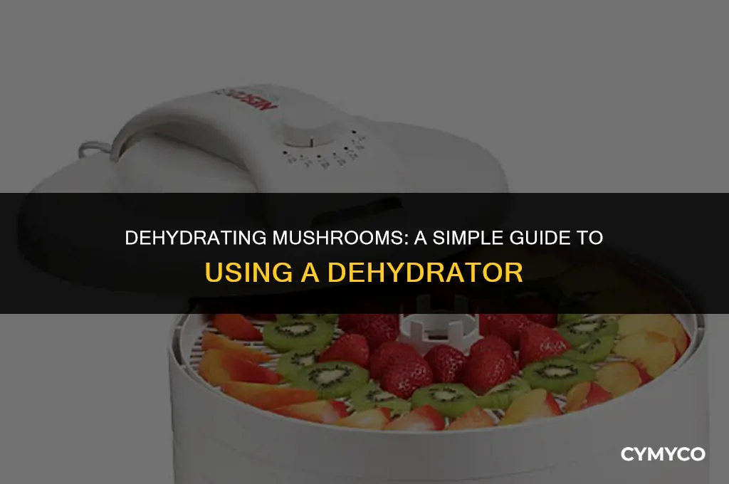 how to dehydrate mushrooms using a dehydrator