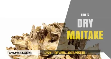 The Art of Drying Maitake: A Simple Guide to Preserving Flavor