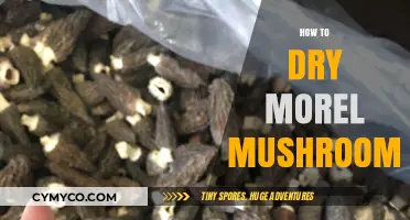 Mastering the Art of Drying Morel Mushrooms: A Step-by-Step Guide