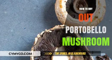 Reviving Earthy Delights: The Ultimate Guide to Drying Portobello Mushrooms