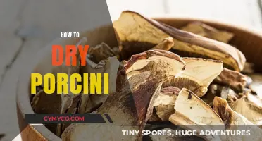 Mastering the Art of Drying Porcini Mushrooms: A Comprehensive Guide