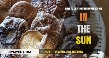 Sun-Drying Shiitake Mushrooms: A Simple Guide to Preserving Umami