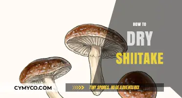 Mastering the Art of Drying Shiitake Mushrooms for Longevity