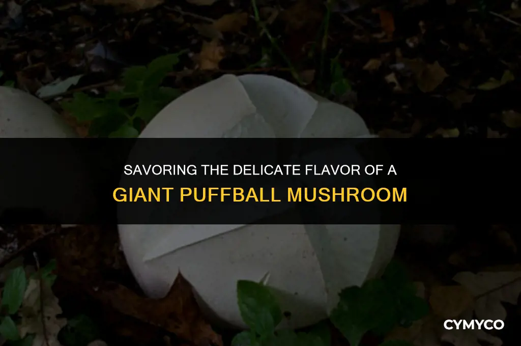 how to eat a giant puffball mushroom