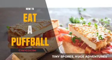 Savoring the Delicate Flavor of Puffballs: A Culinary Guide