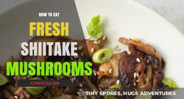 Savoring Shiitake: A Guide to Enjoying Fresh Mushrooms