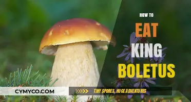 Savoring the King: A Gourmet Guide to Eating Boletus Mushrooms