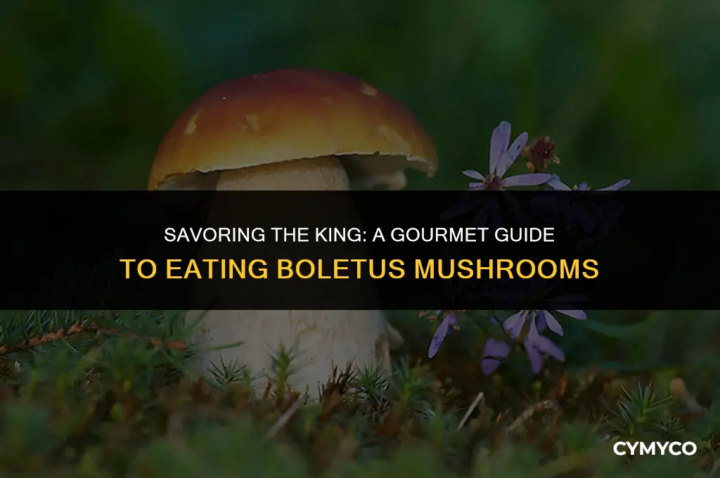 how to eat king boletus