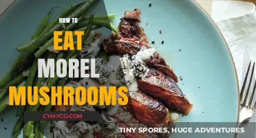 Savoring Spring's Bounty: A Guide to Enjoying Morel Mushrooms