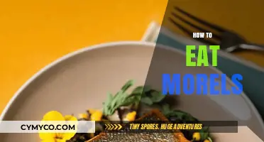 Savoring Spring's Bounty: A Guide to Eating Morels