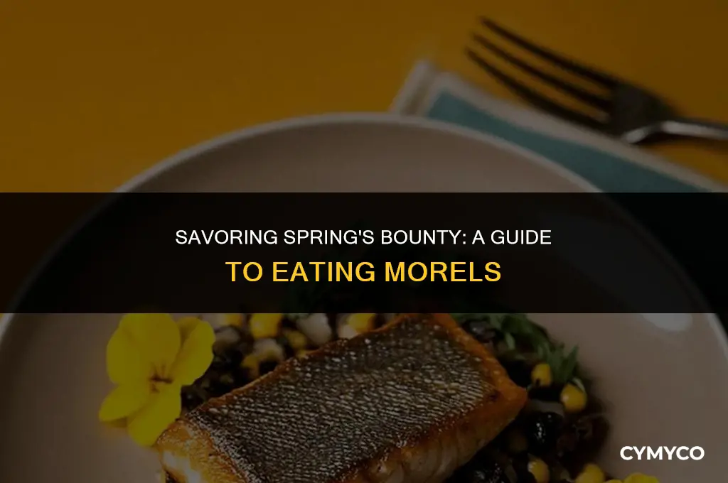 how to eat morels
