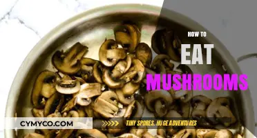 Mastering Mushroom Meals: Tips for Tasty, Safe, and Healthy Consumption