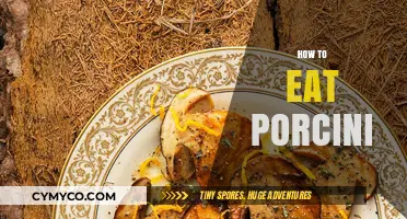 Savoring the Richness: A Guide to Enjoying Porcini Mushrooms