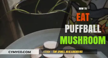 Delicious Puffball Mushrooms: A Beginner's Guide to Safe and Tasty Consumption
