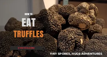 Savoring the Earth's Delicacy: A Guide to Enjoying Truffles