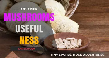 Maximizing Mushroom Benefits: A Comprehensive Guide to Their Uses