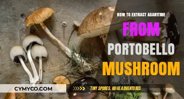 Unlocking the Secrets: Agaritine Extraction from Portobello Mushrooms