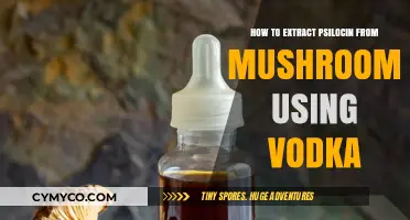 DIY Psilocin Extraction: A Simple Guide Using Vodka