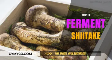 Unlocking Umami: A Beginner's Guide to Fermenting Shiitake Mushrooms