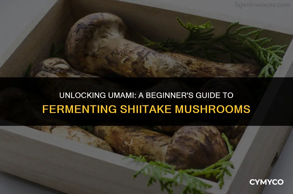 how to ferment shiitake
