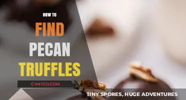 Discovering Nature's Sweet Treasure: A Guide to Finding Pecan Truffles