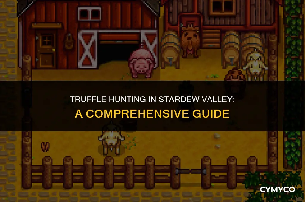 how to find truffles stardew