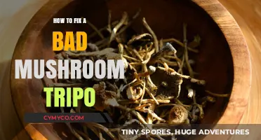 Navigating a Bad Mushroom Trip: Tips for a Safe Recovery