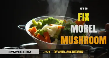 Reviving the Flavor: How to Fix Overcooked Morel Mushrooms