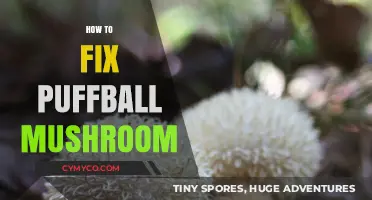 Reviving Your Puffball Mushrooms: A Simple Guide to Fixing Them