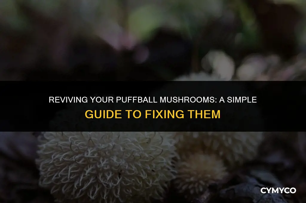 how to fix puffball mushroom