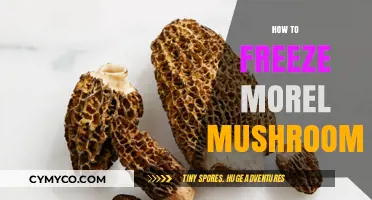 Preserving Nature's Bounty: A Guide to Freezing Morel Mushrooms