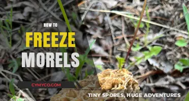 Preserving Morel Mushrooms: A Step-by-Step Guide to Freezing Fresh Morels