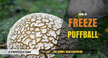 Mastering the Art of Freezing Puffballs: A Step-by-Step Guide