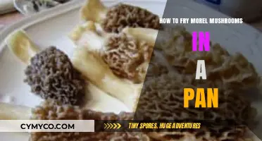 Perfectly Crispy Pan-Fried Morel Mushrooms: A Simple Step-by-Step Guide