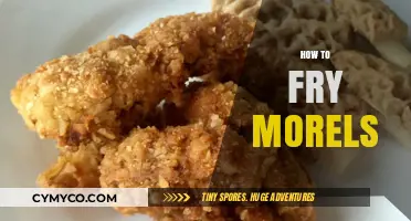 Savor the Spring: A Guide to Frying Morel Mushrooms to Perfection