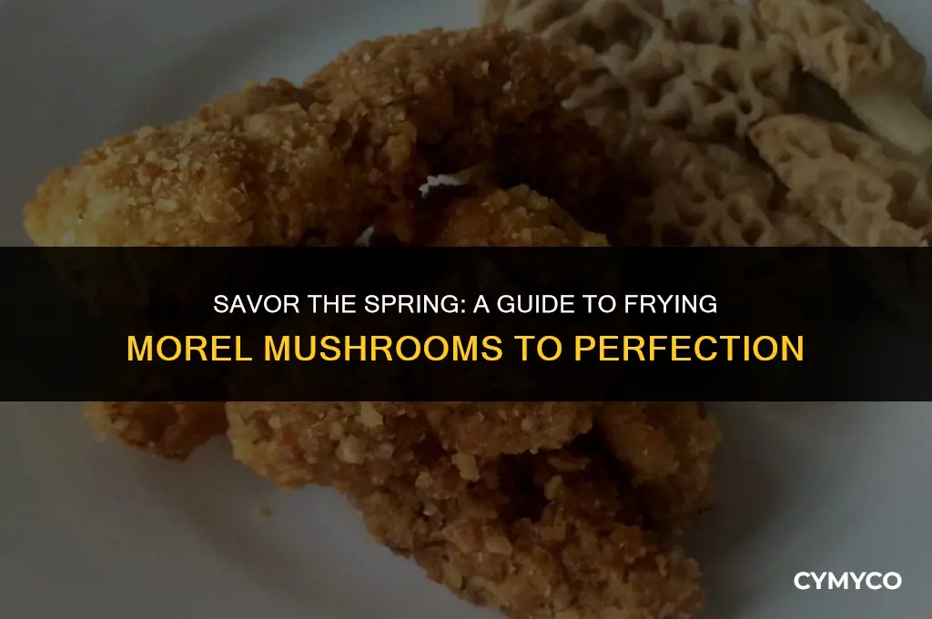 how to fry morels