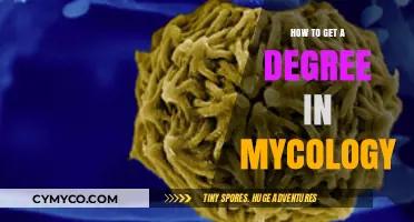 Exploring the Fascinating World of Mycology: A Guide to Earning Your Degree