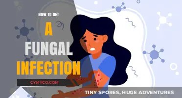 Understanding and Preventing Fungal Infections: A Comprehensive Guide